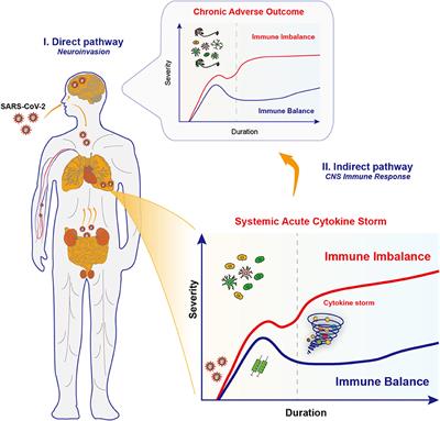 Revisiting the Immune Balance Theory: A Neurological Insight Into the Epidemic of COVID-19 and Its Alike